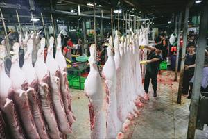 TP. HCM xây dựng nhà máy giết mổ tập trung; Quảng Ninh bắt giữ 25 tấn cá không rõ nguồn gốc