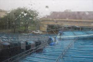 Bão số 12 đã đổ bộ vào Khánh Hòa, tâm bão mạnh cấp 12