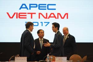 Tuần lễ cấp cao APEC chính thức khai mạc tại Đà Nẵng