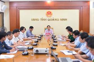 Quảng Ninh: Chủ động ứng phó với bão số 10