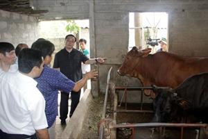 Hà Nội đẩy mạnh phát triển chăn nuôi theo hướng hàng hóa, Bình Phước tổ chức hội thi an toàn thực phẩm