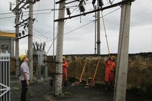 Công ty Điện lực Hà Nam nỗ lực khắc phục sự cố sau bão