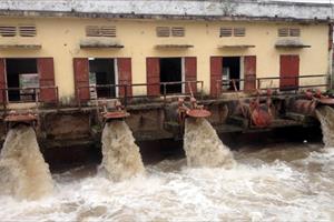 Hà Nam: Bơm tiêu nước cho gần 2.600ha lúa bị ngập do ảnh hưởng bão số 2
