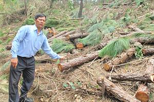 Thu hồi đất rừng của dân, cấp cho doanh nghiệp ở Đắk Lắk: Trái luật sao vẫn làm?