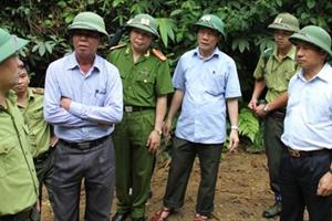 Hà Tĩnh công bố Kế hoạch hành động REDD+ phát triển rừng bền vững