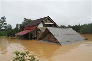 Mưa lớn kéo dài, nhiều địa phương Hà Tĩnh thiệt hại nặng nề