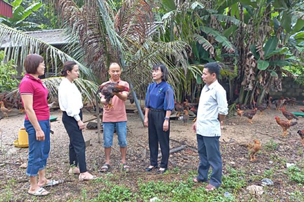 HLV Tỉnh Thái Nguyên: Khẳng định vị trí, vai trò trong phát triển kinh tế nông nghiệp, nông thôn