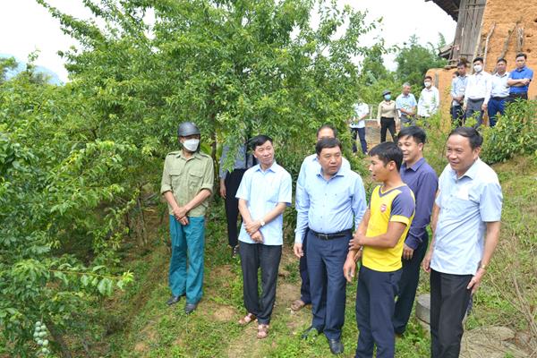 Hội Làm vườn tỉnh Hà Giang: Chú trọng cải tạo vườn tạp để củng cố tổ chức
