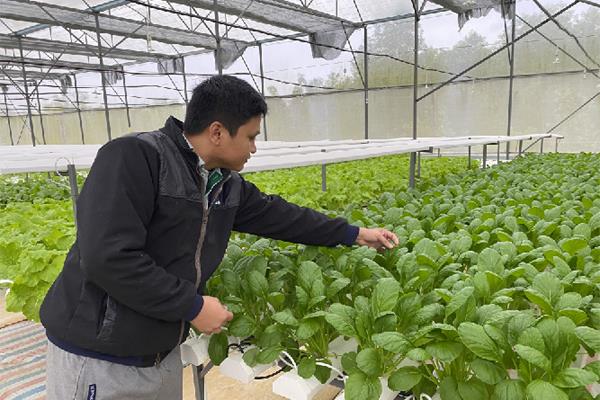 Phát triển nông nghiệp công nghệ cao tại huyện Quế Sơn