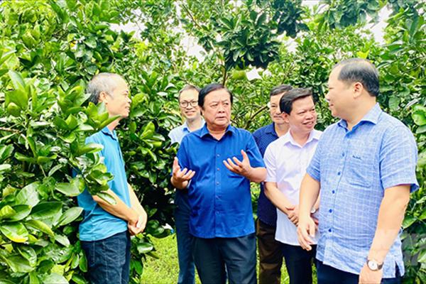 “Câu chuyện làm vườn” của Bộ trưởng Bộ Nông nghiệp và PTNT Lê Minh Hoan