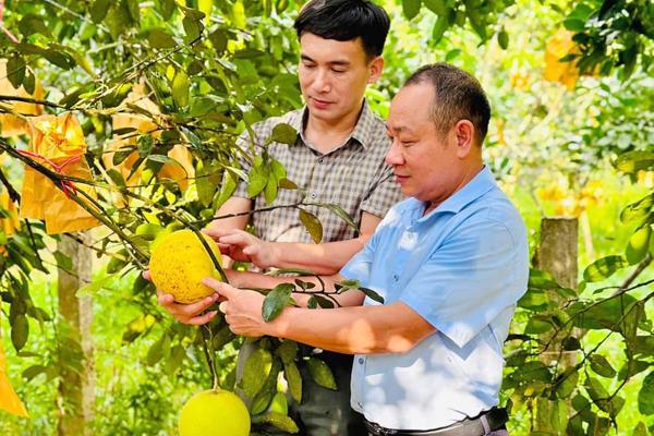 Ngành Nông nghiệp Hà Tĩnh tăng trưởng 2,6%