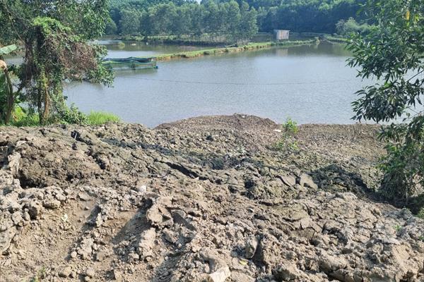 Tạm dừng đổ bùn thải hôi thối xuống ao, hồ ảnh hưởng đến sản xuất nông nghiệp ở TP. Huế