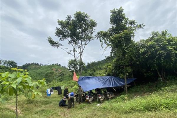 Quảng Nam lập chốt tăng cường quản lý, bảo vệ rừng